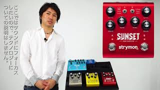 Strymon SUNSET 解説＆サンプルサウンド [upl. by Eyla]