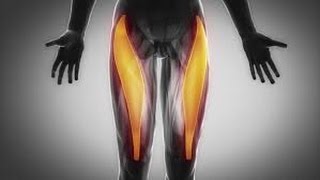 1 Most Common Cause of Hip amp Lower Back Pain RFemoris amp Hip Flexors Magical stretch amp Release [upl. by Ivers332]