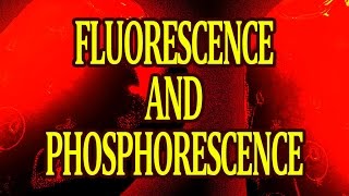 What are Fluorescence and Phosphorescence How it Works [upl. by Nedry355]