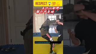 most dangerous fighting moves 😱 💪 challenge kungfu [upl. by Oinigih]