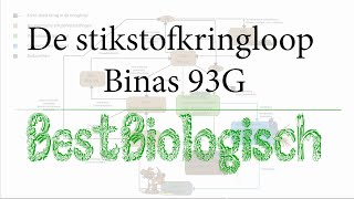 De stikstofkringloop  Binas 93G [upl. by Ellingston380]