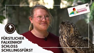 Der 🦅 Fürstliche Falkenhof 🦅 Schloss Schillingsfürst im Romantischen Franken [upl. by Kissner]