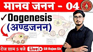 मानव जनन  04  Oogenesis in hindi  12th Biology Chapter 3 Bihar Board  By SR Rajan Sir [upl. by Rizzi]