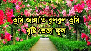 বাংলা গজল তুমি যষ্টি মুকুল মিষ্টি বকুল  Bristy Veja Ful  Syed Sajidul  Bangla Gojol  gojol [upl. by Corri378]