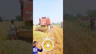 How to collect grass behind the harvester  short ytshort shortvideo [upl. by Opiuuk]