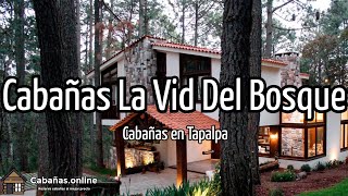 Cabañas La Vid Del Bosque  Cabañas en Tapalpa México [upl. by Persis]