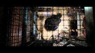 Rise of the Planet of the Apes  Official International Trailer  2011 [upl. by Enyahs]