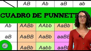 Ejercicio genética con dos genes 🧬 Codominancia I [upl. by Ihsakat]