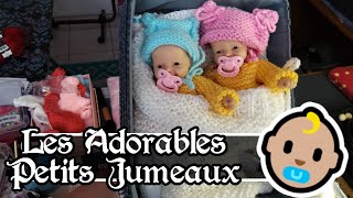 La Nurserie Lapinou  Les Adorables Petits Jumeaux [upl. by Onifur]