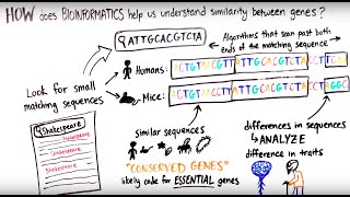 What is Bioinformatics [upl. by Chladek96]