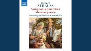 Symphonia domestica Op 53 TrV 209 Adagio [upl. by Lyrehc]