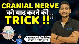 cranial nerve tricks  mnemonic for cranial nerves  cranial nerve learning tricks  anatomy [upl. by Eesdnil663]