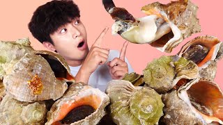 ENG SUBAmazing Chewy Giant ConchSeashells 5KG Eat Mukbang🐚Korean Seafood ASMR Hoony Eatingsound [upl. by Enelam]