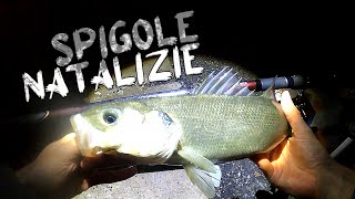 SPIGOLE ALLALBA CON IL BIGATTINO  Pesca a BOLOGNESE con DAIWA AMORPHOUS POWER BI 2020 [upl. by Barina20]