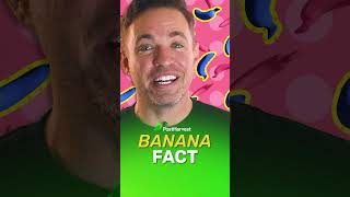 🍌☢️ Radioactive Bananas ☢️🍌 fruitfacts [upl. by Sharos727]