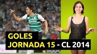 GOLES Jornada 15  Liga Mx CL 2014 [upl. by Nalahs373]