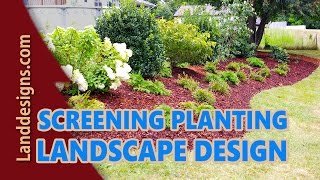 Screening Planting Landscape Design Ideas [upl. by Casaleggio]