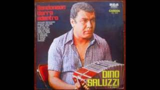 Desdeñosa  Dino Saluzzi [upl. by Brandea]