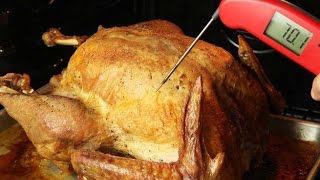 How to Take the Temperature of Your Turkey [upl. by Gabbi]