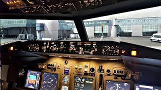 Boeing 737 Flight Sim  Full Flight LCAPFO  Cockpit View amp Pilot Comms  Takeoff to Landing [upl. by Spiegleman]