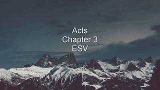 Acts  Chapter 3 ESV [upl. by Honan]