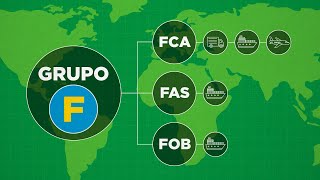 🔴INCOTERMS  Características sobre el Incoterm CIF [upl. by Eads99]