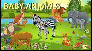 Baby Animals Names and Sounds [upl. by Ezra]