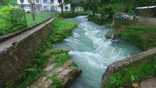 Roaring River at Petersfield in Westmoreland Jamaica 🇯🇲 [upl. by Aliak46]