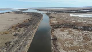 Netley Creek Heading East to the River  April 15 2024 [upl. by Brod]