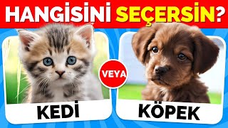 Hangisini Tercih Edersin🤔  Hayvanlar Özel 😻🐶 [upl. by Retniw]