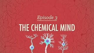 The Chemical Mind Crash Course Psychology 3 [upl. by Yovonnda]