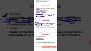 Carbohydrates Anomers [upl. by Sammons]