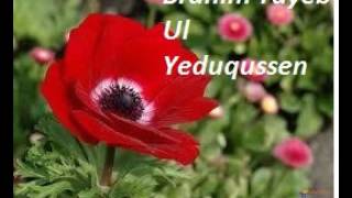 BRAHIM TAYEB  Ul yeduqussen [upl. by Ellatnahc320]