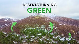 Scotlands Deserts are Turning Green  heres why [upl. by Nedia]