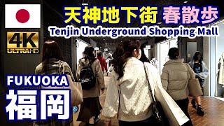 4K【福岡博多街歩き／Fukuoka Walk】03 天神地下街・春の散歩｜Tenjin Underground Shopping Mall｜九州｜福岡県福岡市中央区｜観光｜旅行 [upl. by Lednic]