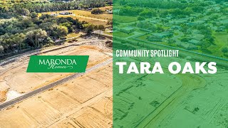 Community Spotlight Tara Oaks [upl. by Stark]