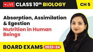 Absorption Assimilation amp Egestion  Nutrition in Human Beings  Class 10 Biology Chapter 5 LIVE [upl. by Eelasor]