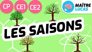 Les saisons CP  CE1  CE2  Cycle 2  Questionner le monde  Se repérer dans le temps [upl. by Arakal532]