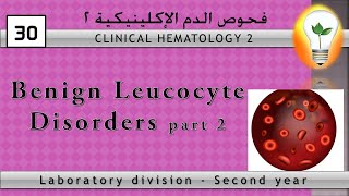 Clinical Hematology 30 Benign Leucocyte Disorders part 2 الأورام الحميدة في الدم ج2 [upl. by Gardner]