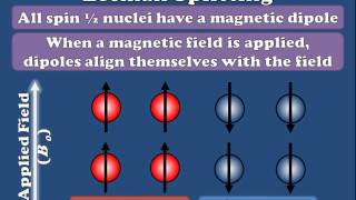 NMR  Zeeman Splitting Explained [upl. by Ameekahs]