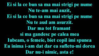 Pasărea Colibri  Nui nimic asta e Versuri [upl. by Ronoc]