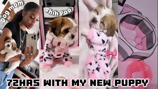 GETTING MY NEW SHIH POO PUPPY  FIRST 72HOURS VLOG 🎀  shopping puppy prep etc [upl. by Ronyar]