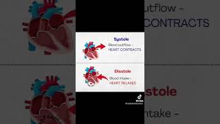 Systole and Diastole difference between systole and diastole heart blood science humananatomy [upl. by Lorenzana]