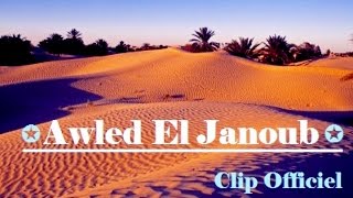 Mester Hichem ✪Awled El Janoub► NEW Rap Tunisien [upl. by Hillard244]