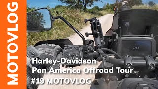 19 Teil 2 Pan America HarleyDavidson OFFROAD Tour  Senigallia  MotoVlog [upl. by Finstad17]