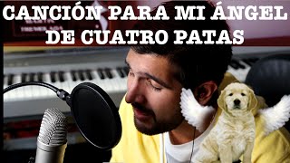 Canción Para Las Mascotas Que Ya No Están Parte 2  Martín Tremolada [upl. by Bernardi]