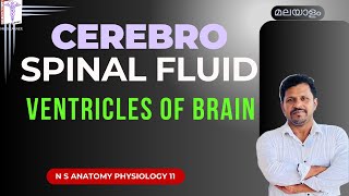 Ventricles of Brain Malayalam CSF Malayalam Cerebrospinal Fluid Malayalam Nervous system Malayalam [upl. by Akkin]