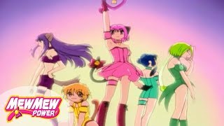 Mew Mew PowerEpisode 1 The Main Mews Muse English [upl. by Zeralda156]