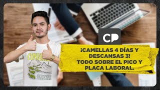 ¡Pico y placa laboral La nueva jornada en apagones  ¿Censurarán a Palencia [upl. by Cilegna358]