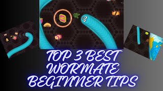 TOP 3 BEST BEGINNER TIPS FOR WORMATEIO 2024 [upl. by Bruns25]